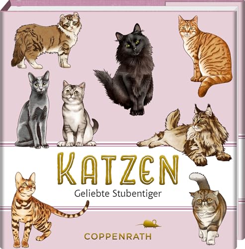 Portada de Katzen - Geliebte Stubentiger